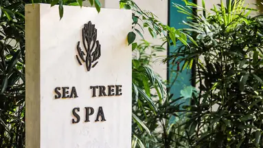 Amorita Resort