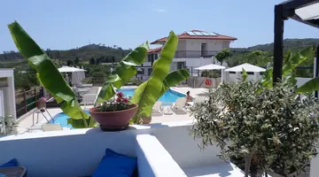 Ampelia Hotel Kassandra