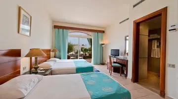 Amphoras Blu
