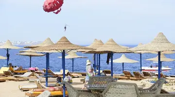 AMPHORAS BLU