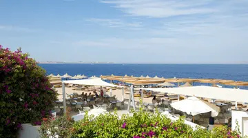 AMPHORAS BLU