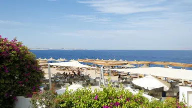 AMPHORAS BLU