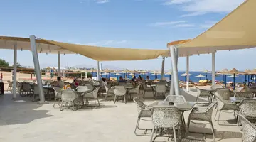 AMPHORAS BLU