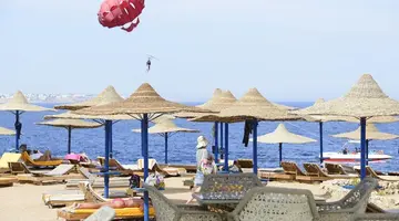 AMPHORAS BLU