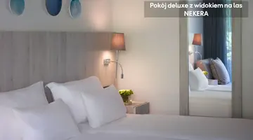 AMUS HOTEL AND SPA