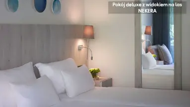 AMUS HOTEL AND SPA