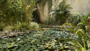 AMUS HOTEL & SPA (EX- RHODES BAY HOTEL & SPA)
