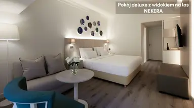 Amus Hotel & Spa