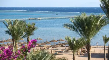 AMWAJ OYOUN