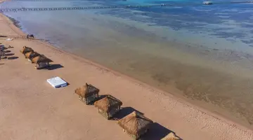 AMWAJ OYOUN