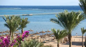 AMWAJ OYOUN
