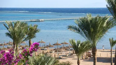 AMWAJ OYOUN