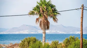 ananea Kos