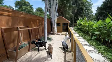 Anantara Hua Hin Resort