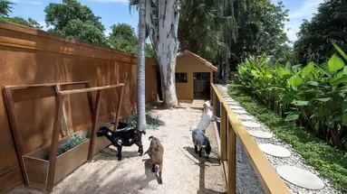 Anantara Hua Hin Resort