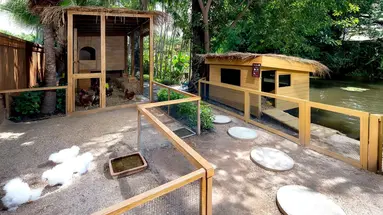 Anantara Hua Hin Resort
