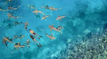 Anantara Veli