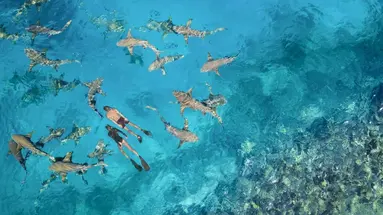 Anantara Veli