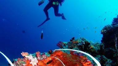 Anantara Veli