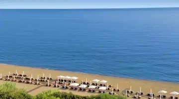 Anassa