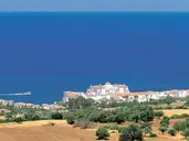 Anassa