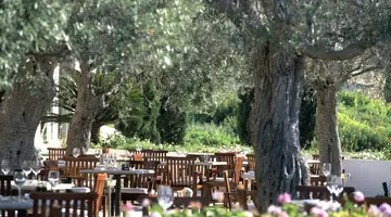Anassa