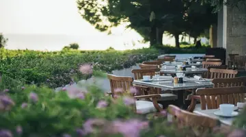 Anassa