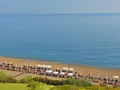 Anassa
