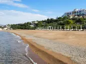 Anassa