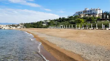 Anassa