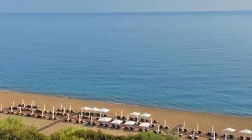 Anassa