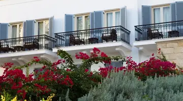 Anassa