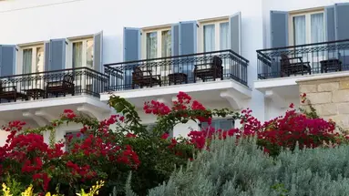 Anassa