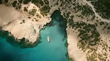 Anassa