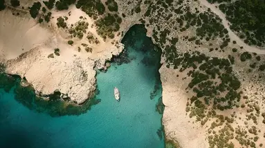 Anassa