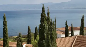 Anassa