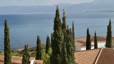 Anassa