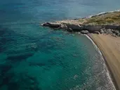 Anassa