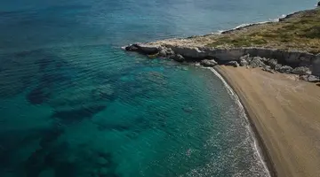 Anassa