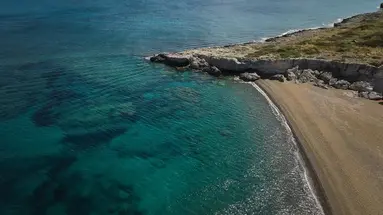 Anassa
