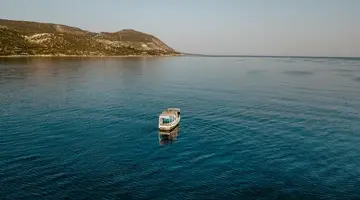 Anassa