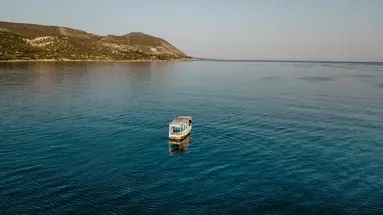 Anassa