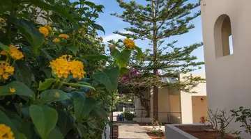 Anastasia Hotel Stalis