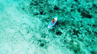 Anaya Zanzibar