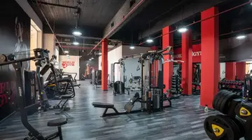 ANCIENT SANDS