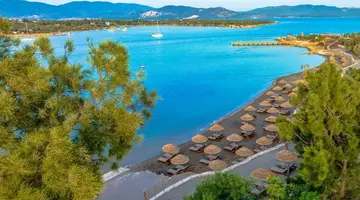 ANDA BARUT COLLECTION