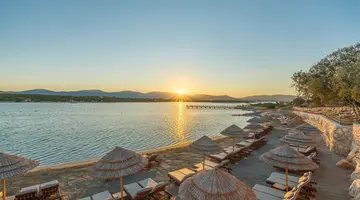 Anda Barut Collection