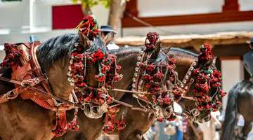 Andaluzja warta zobaczenia 3 *