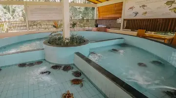 Andaz Bali