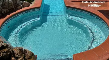 Andreaneri